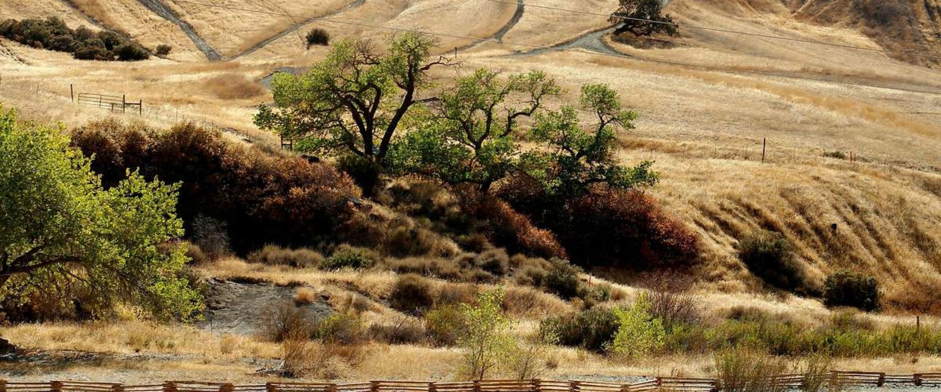 Exploring Off-Road Trails in Alameda County Parks: An Unforgettable Adventure