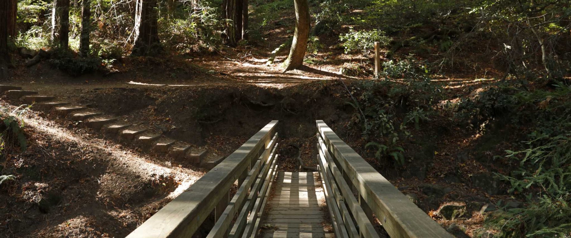 Exploring the Trails of Alameda County Parks: A Guide for Nature Lovers