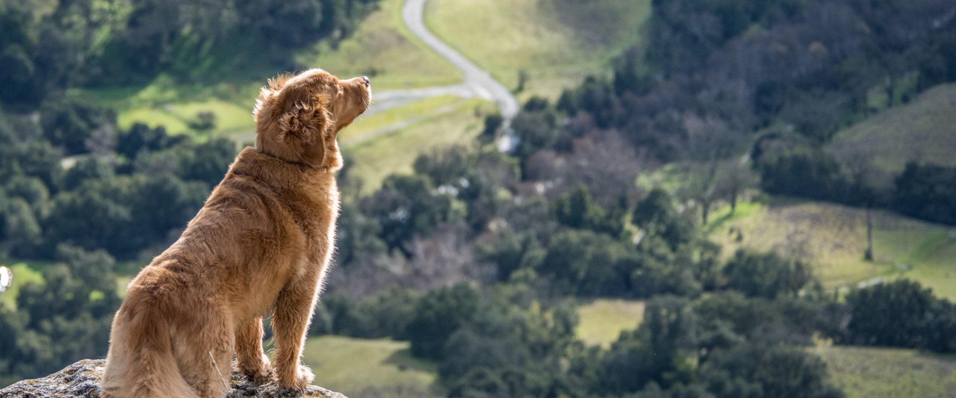 Wildlife Viewing Trails in Alameda County Parks: An Expert Guide