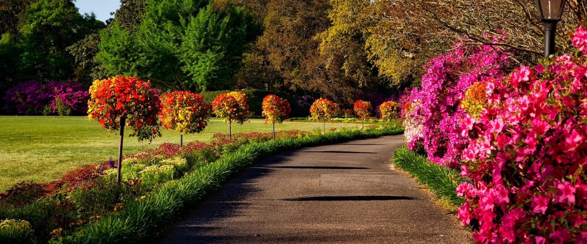 Exploring The Natural Treasures: Parks Of Alameda County