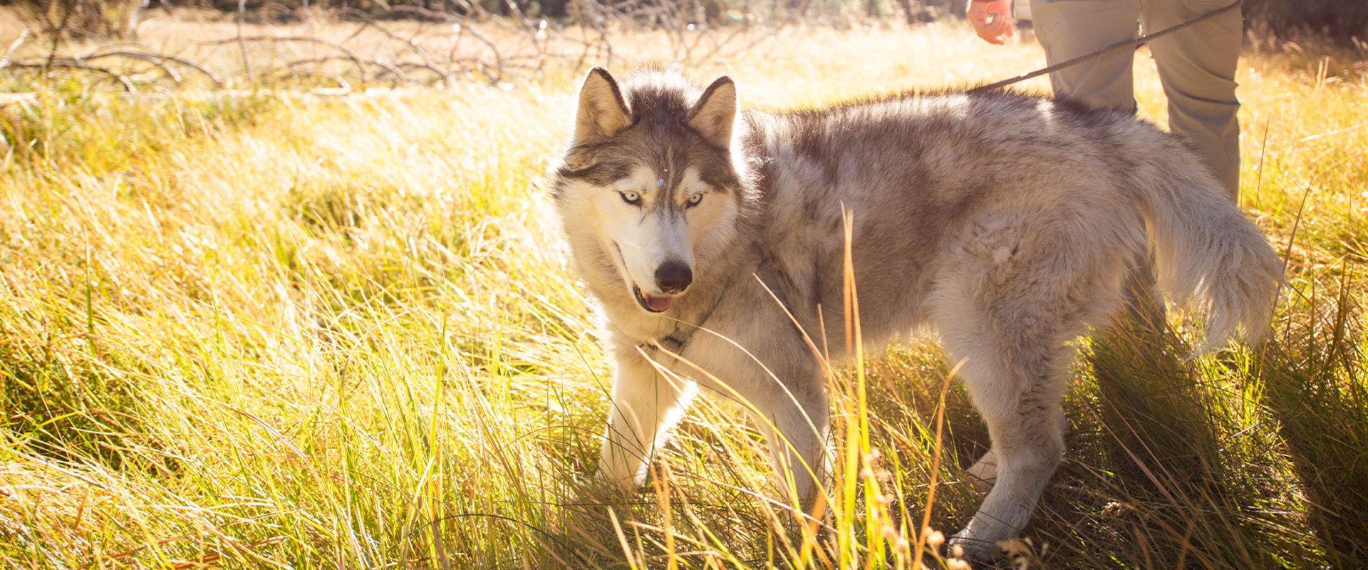 Exploring the Incredible East Bay Regional Park District