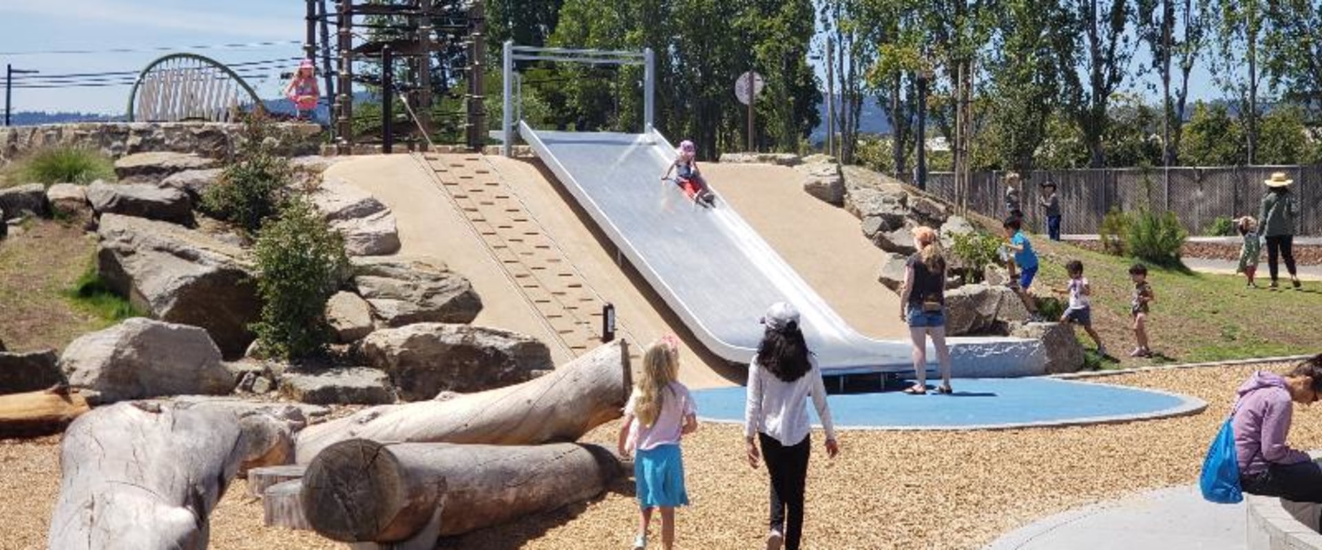 Exploring Water Features in Alameda County Parks