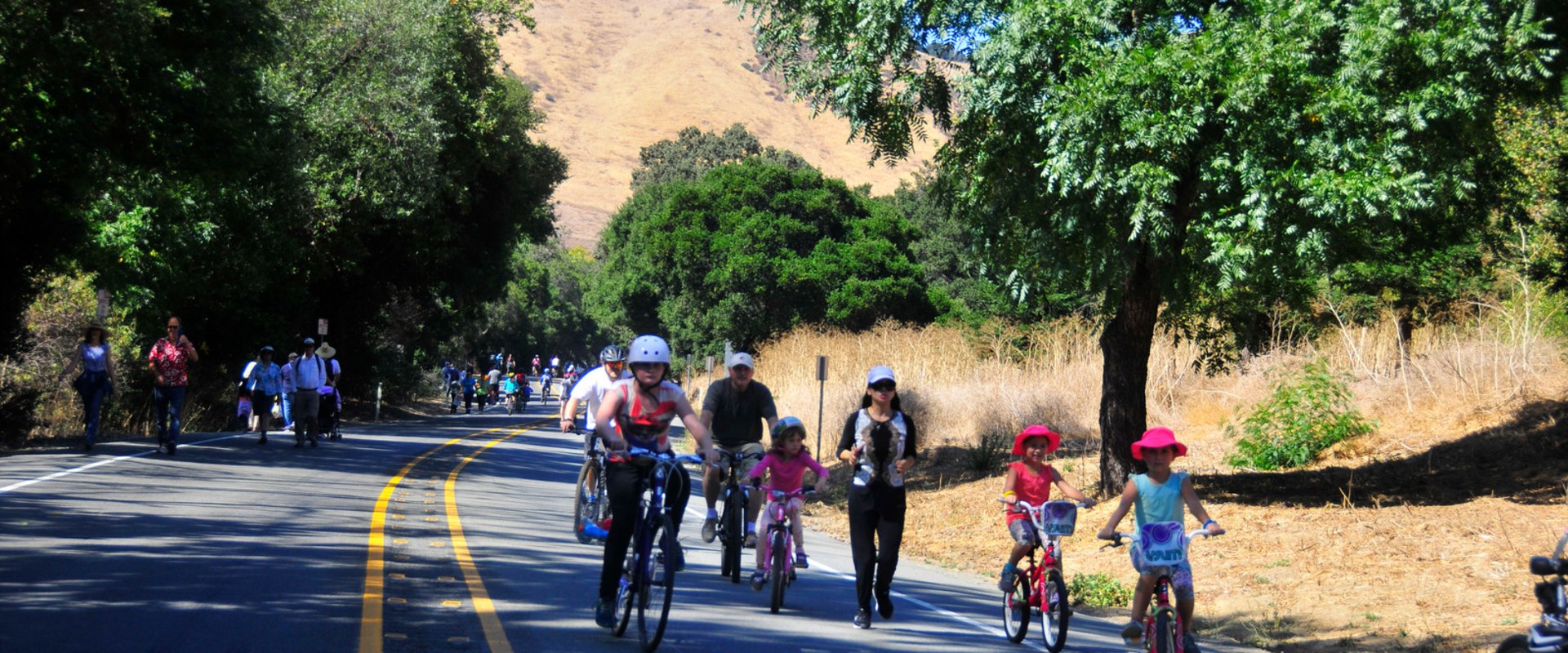 Exploring Orienteering Trails in Alameda County Parks