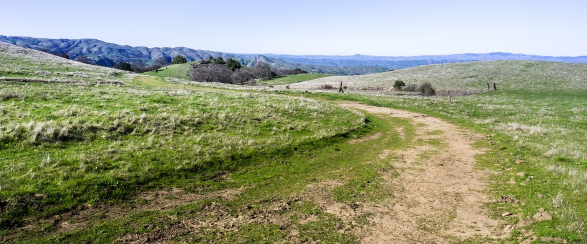 Exploring the Best Parks for Hiking in Alameda County