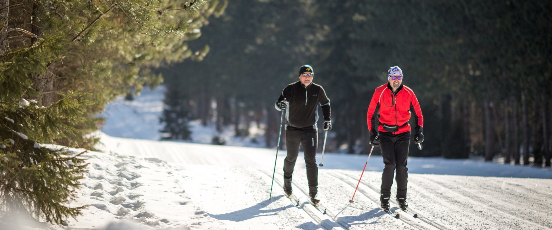 Cross-Country Skiing in Alameda County Parks: A Weekend Getaway