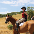 Discover the Best Horseback Riding Trails in Alameda County