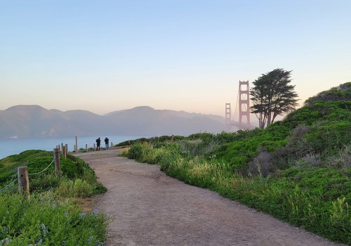 Exploring the Best Bird Watching Trails in Alameda County