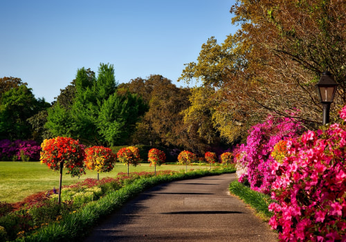 Exploring The Natural Treasures: Parks Of Alameda County