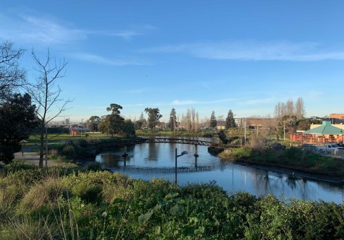 The Best Fishing Spots in Alameda County: An Expert's Guide