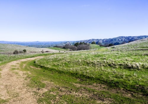 Exploring the Best Parks for Hiking in Alameda County